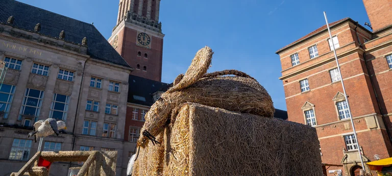 Bauern- und Regionalmarkt in Kiel: Das erwartet Sie Anfang Oktober