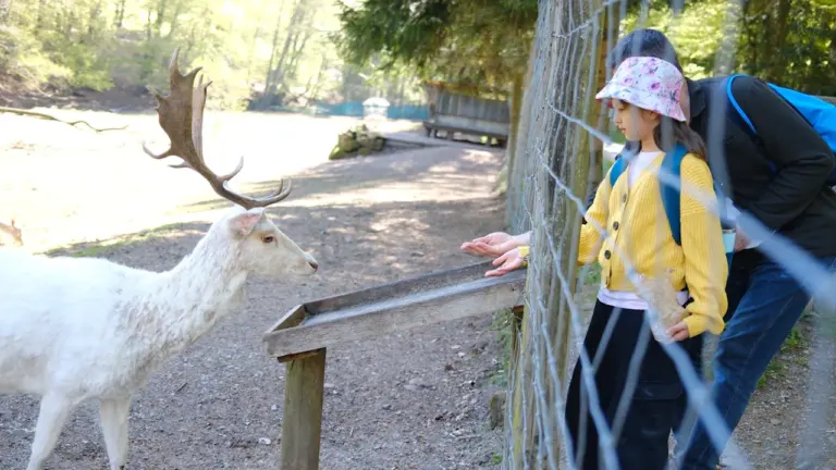 Eltern in Saarbrücken: Was die Wildpark-Ferien bieten