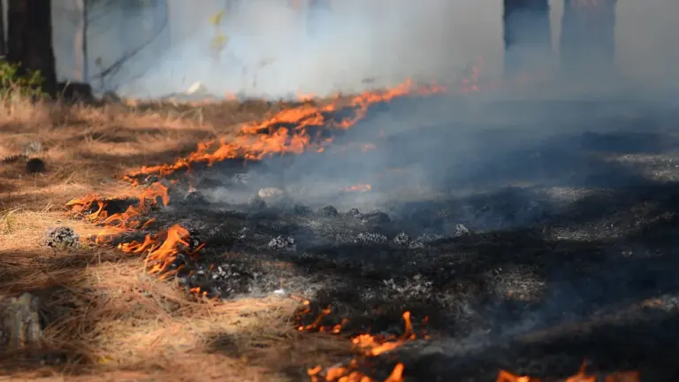 Freitagabend: Warnlage und Waldbrandgefahr prüfen