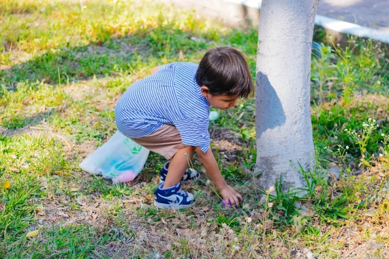Kronensuche in Paderborn: Kinder rätseln am 22. August