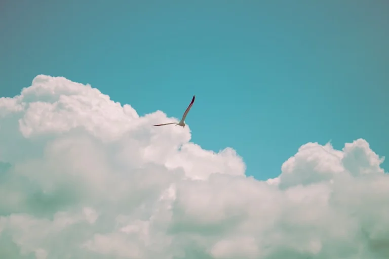 Traumsymbol Fliegen: Freiheit, Kontrolle oder Flucht?