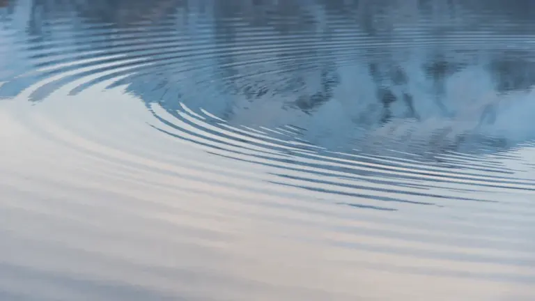 Wasser im Traum: Was das Symbol über unser Erleben verrät