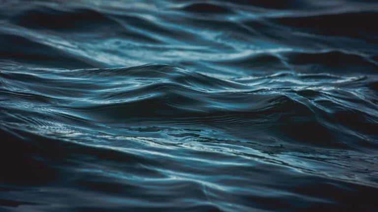 Wasser im Traum: Was das Symbol über unser Erleben verrät