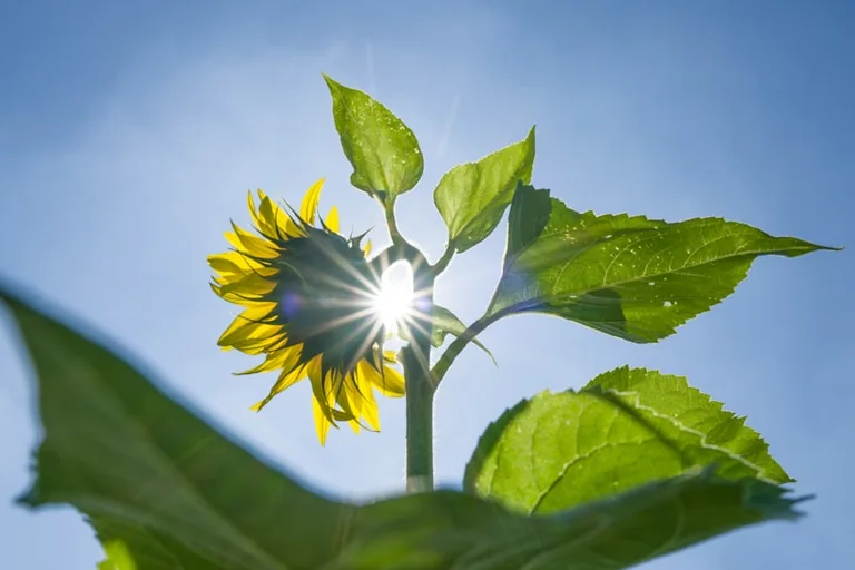 Wetterprognose für den 22.-23. August 2026: Kommt der Spätsommer?