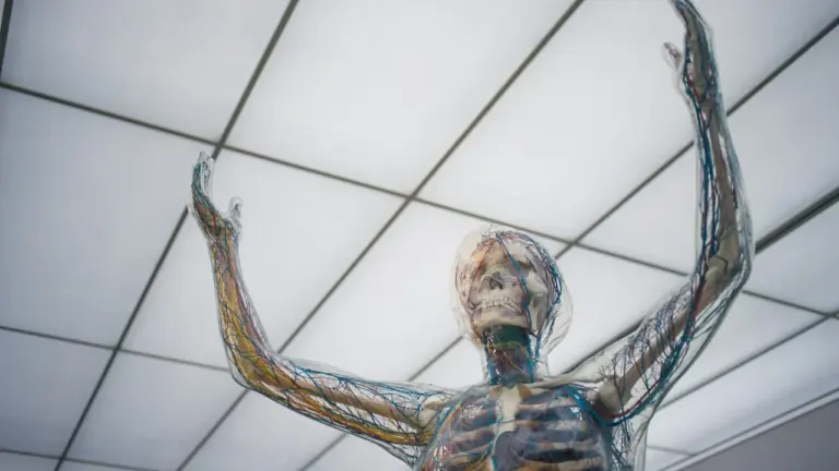 Brittle Bodies in Paderborn: Eröffnung am 4. September
