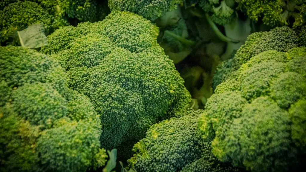 Frischer, grüner Brokkoli in Nahaufnahme als Symbol für regionale Produkte auf dem Wochenmarkt.