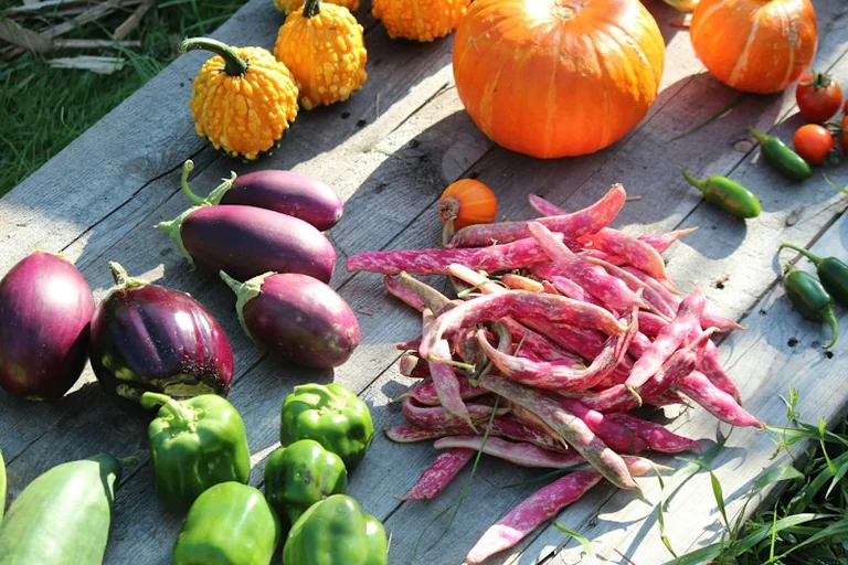 Erntedank 2026: Herbstessen mit weniger Lebensmittelresten
