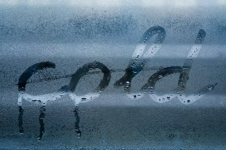 Feuchte Fenster am Morgen: Wann Kondenswasser ein Warnzeichen ist